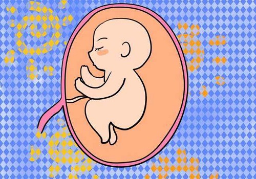 試管嬰兒費用大約多少2021年？試管凍胚移植成功率高嗎？