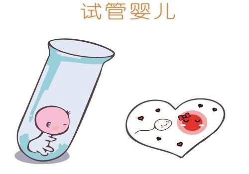試管嬰兒要花多少的錢