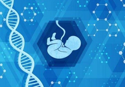試管嬰兒移植成功后，如何進(jìn)行保胎？