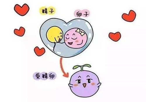 泰國第三代試管嬰兒技術優(yōu)勢好處是什么