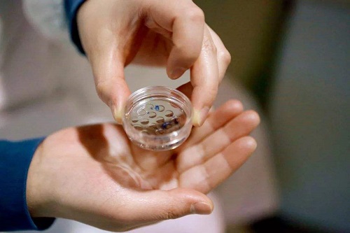 美國拿別人精子做試管嬰兒價(jià)格是多少