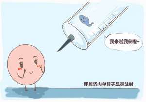 做第三代試管嬰兒費(fèi)用大概多少