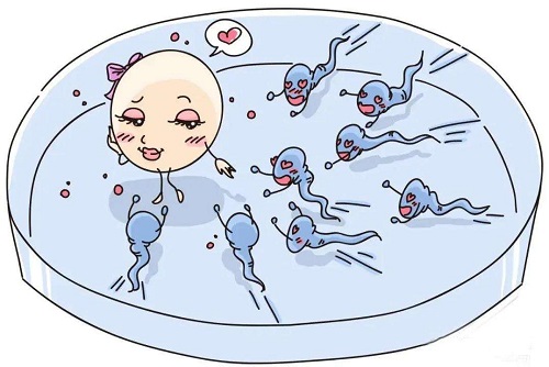 女性結扎后還能做試管嬰兒嗎?