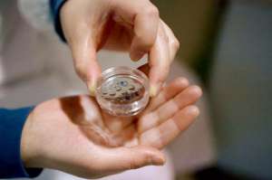 美國試管嬰兒費(fèi)用包括哪些方面